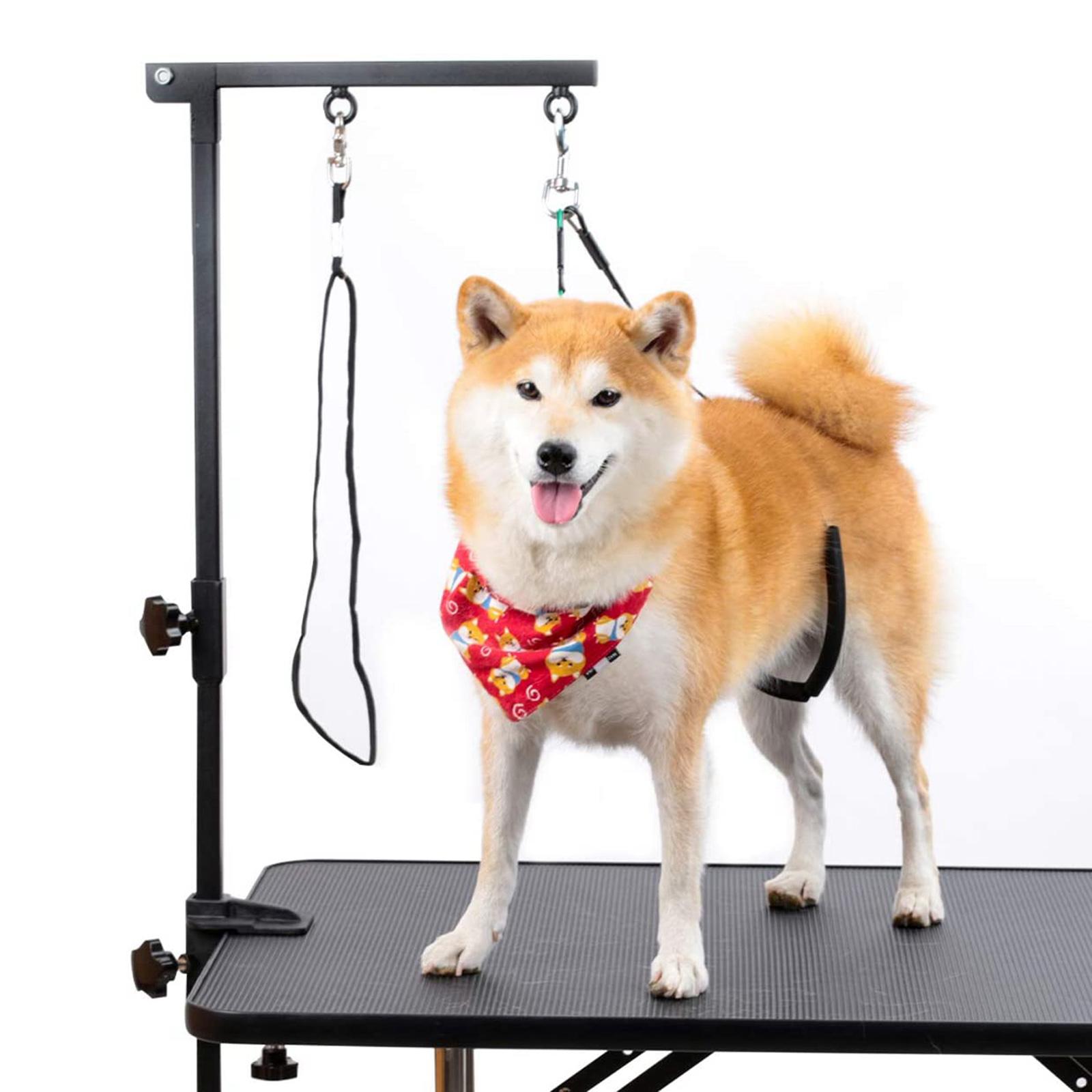 Braccio per toelettatura per a - Folding Pet Grooming Table Arm Clamp recensione e prezzo