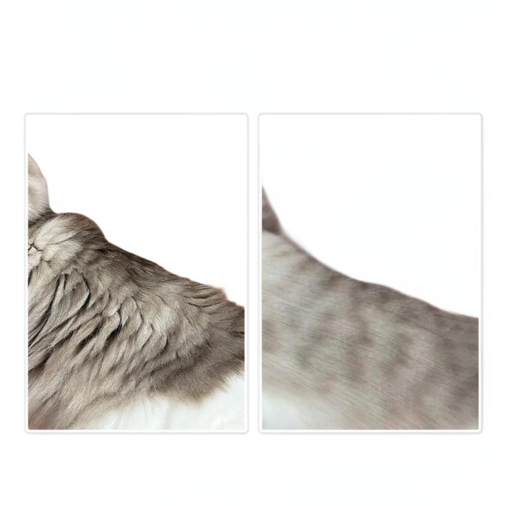 Strumento per rimuovere i peli - Undercoat Rake Dematting Tool Dog Shedding recensione e prezzo
