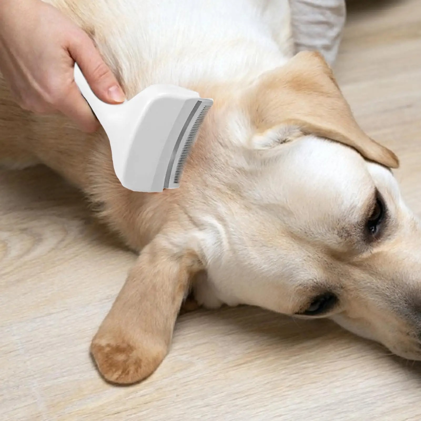 Slicker Spazzola Per Cani Sott - Undercoat Rake Dematting Tool Dog Shedding recensione e prezzo