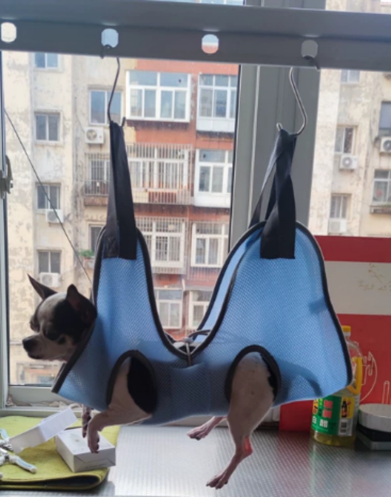 Borsa a forma di amaca per la  - Pet Grooming Hammock Sling Restraint recensione e prezzo