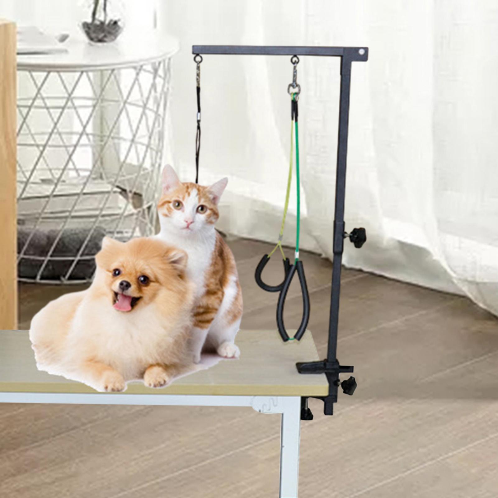 Braccio per toelettatura per c - Folding Pet Grooming Table Arm Clamp recensione e prezzo