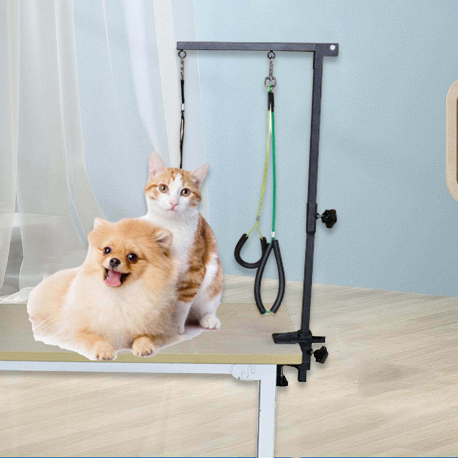 Braccio di supporto per toelet - Folding Pet Grooming Table Arm Clamp recensione e prezzo