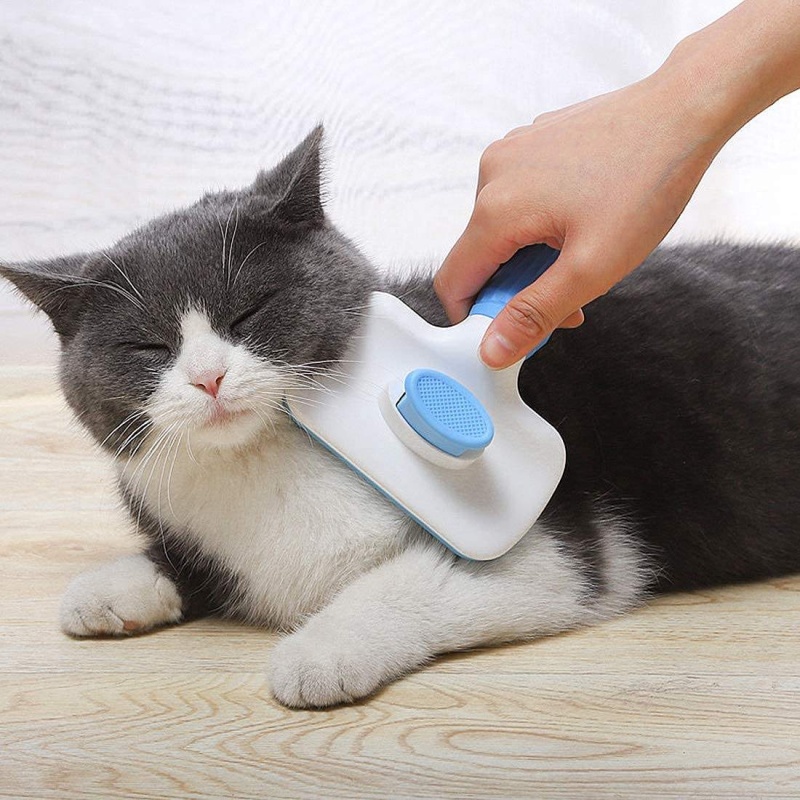 Spazzola Autopulente per la Ri - Slicker Brush Self Cleaning Pet Grooming recensione e prezzo